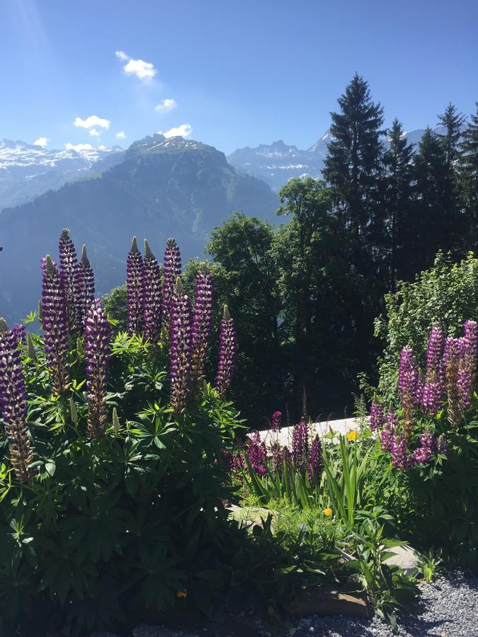 Hotel & Restaurant Stadthof Glarus Ngoại thất bức ảnh