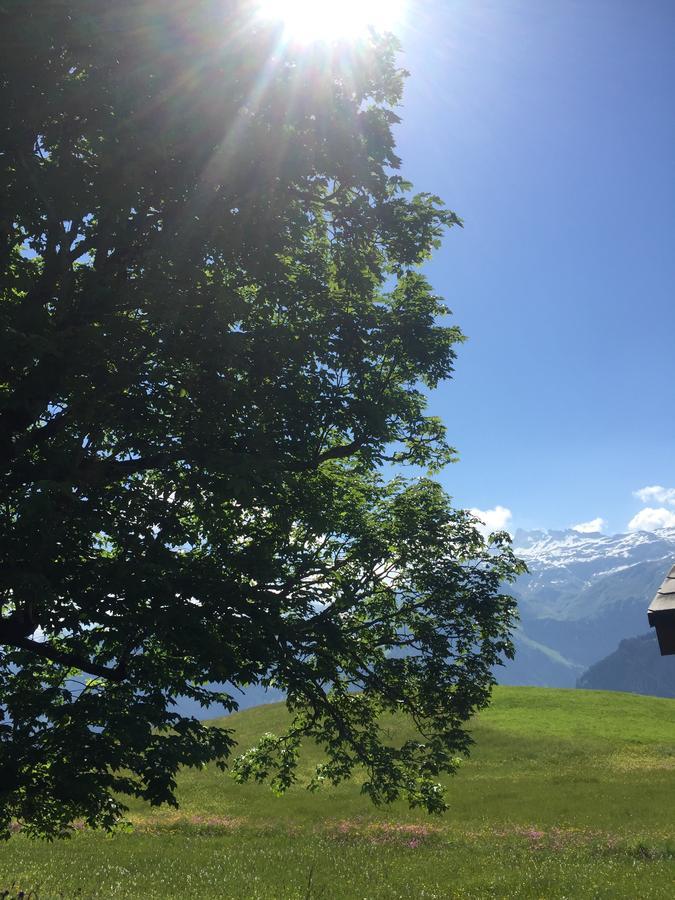 Hotel & Restaurant Stadthof Glarus Ngoại thất bức ảnh